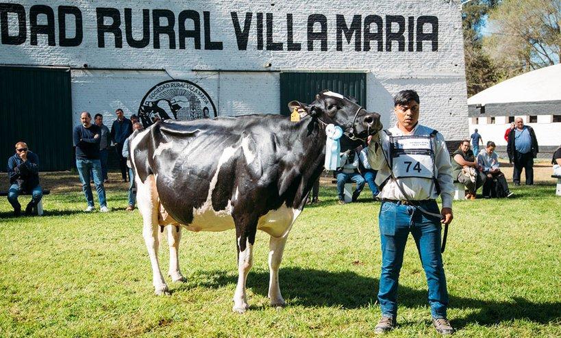 Don Nura se consagró con la Vaca Suprema Holando en MECA26